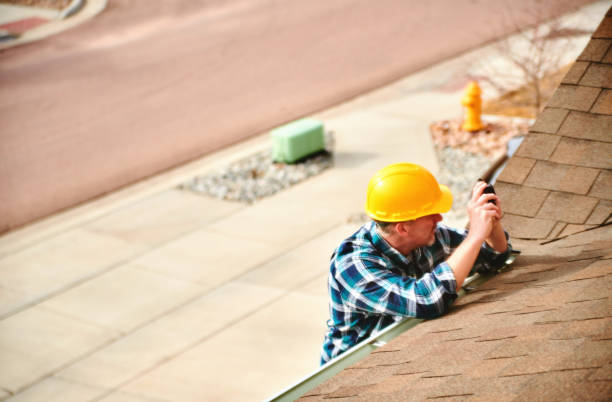 Best Roof Moss and Algae Removal  in Gratton, VA
